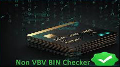 VBV Checker Site
